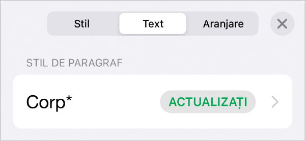 Un stil de paragraf cu un asterisc lângă el și un buton Actualizați în partea dreaptă.