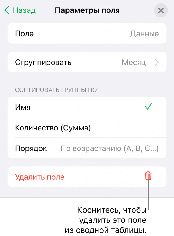 Меню параметров поля. Показаны элементы управления, позволяющие сгруппировать и отсортировать данные, а также удалить поле.