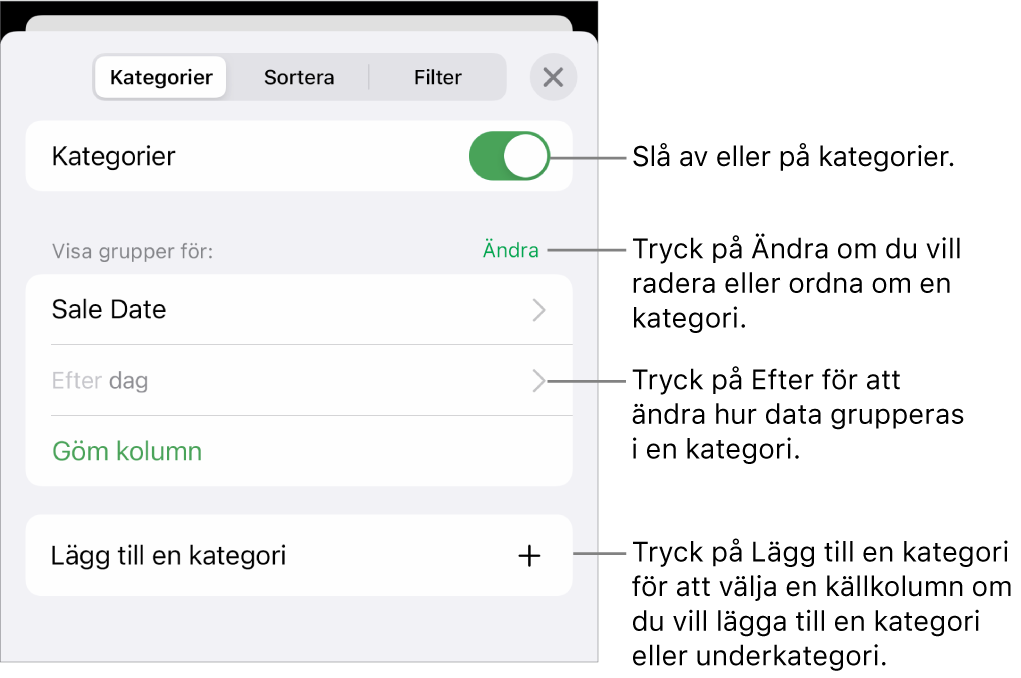 Menyn Kategorier för iPhone med alternativ för att slå av kategorier, radera kategorier, gruppera om data, gömma en källkolumn och lägga till kategorier.