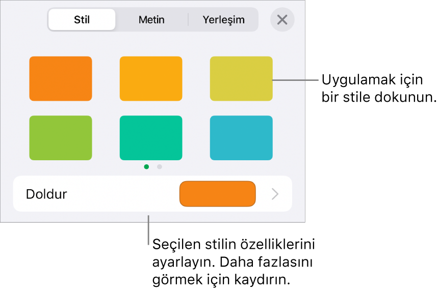 Altı şekil stilinin ve onların altında Doldurma denetimlerinin bulunduğu Biçim düğmesinin Stil sekmesi.