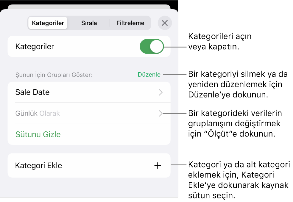 Kategorileri kapatma, kategorileri silme, verileri yeniden gruplama, kaynak sütunu gizleme ve kategori ekleme seçeneklerini içeren, iPhone için Kategoriler menüsü.
