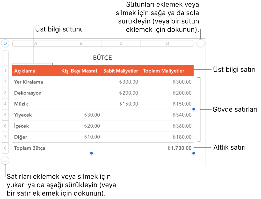 Üst bilgi, gövde ve dipnot satırlarını ve sütunlarını ve satır veya sütun eklemek ya da silmek için tutamakları gösteren bir tablo.
