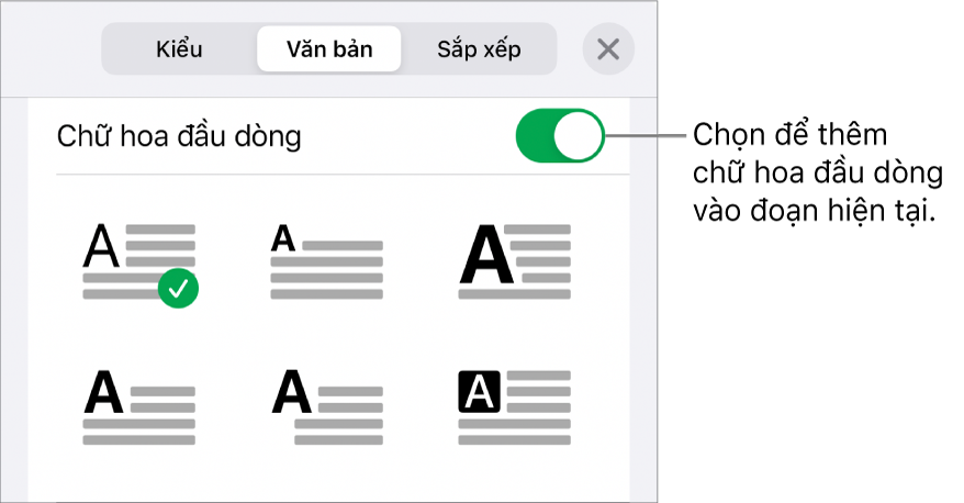 Các điều khiển Chữ hoa đầu dòng nằm ở cuối menu Văn bản.