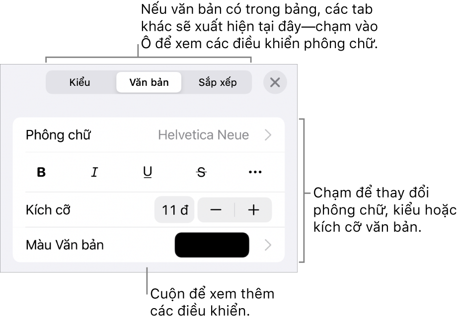 Các điều khiển văn bản trong menu Định dạng để đặt kiểu, phông chữ, kích cỡ và màu của đoạn và ký tự.