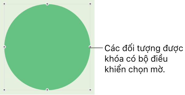 Một đối tượng bị khóa có các bộ điều khiển chọn bị làm mờ.