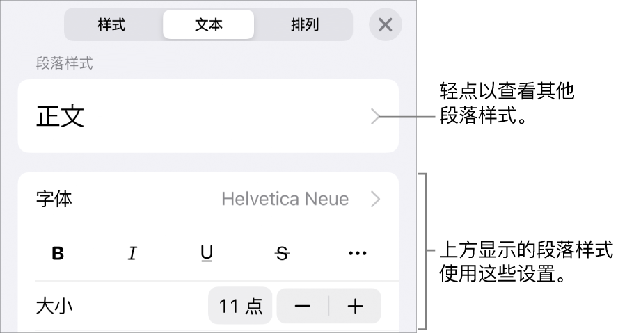 显示文本控制的“格式”菜单，用于设定段落和字符样式、字体、大小和颜色。