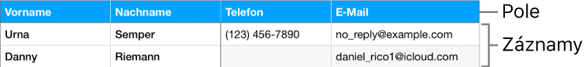 Tabulka správně připravená pro použití s formuláři, obsahující řádek záhlaví s různými popisky polí, a dále seznam záznamů, které obsahují kontaktní údaje pro členy sportovního týmu