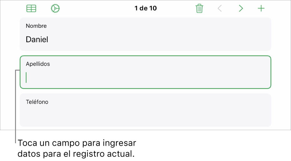 Se muestra un registro en un formulario con un campo activo con un punto de inserción.