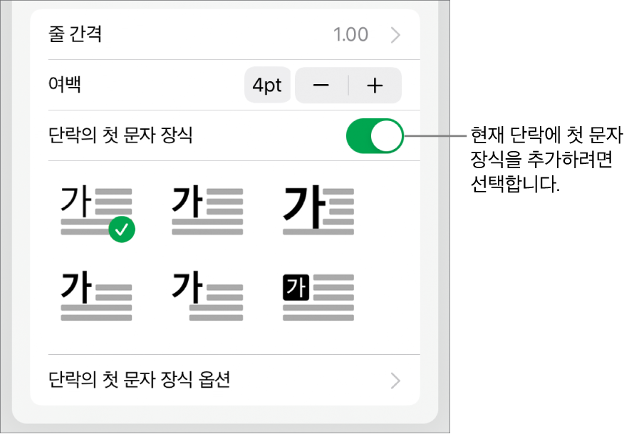 텍스트 메뉴의 하단에 위치한 ‘단락의 첫 문자 장식’ 제어기.