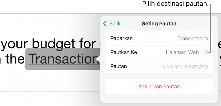 Kawalan Seting Pautan dengan medan untuk Paparan, Pautkan Ke (Halaman Web dipilih) dan Pautan. Butang Keluarkan Pautan berada di bahagian bawah.