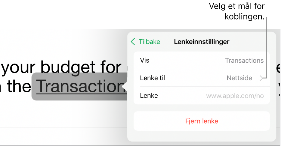 Lenkeinnstillinger-kontrollene med felter for Visning, Lenke til (stilt til Nettside) og Lenke. Fjern Lenke-knappen er nederst.