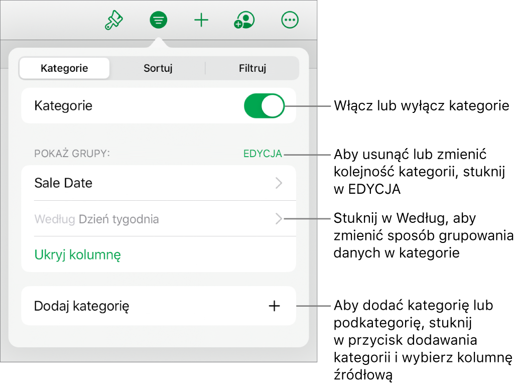 Menu Kategorii dla iPadzie z opcjami wyłączania lub usuwania kategorii, przegrupowywania danych, ukrywania kolumny źródłowej oraz dodawania kategorii.
