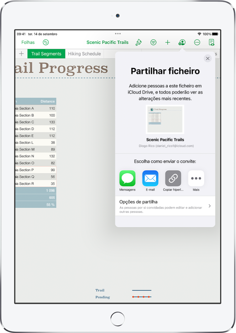 O ecrã “Adicionar pessoas” a mostrar uma imagem da folha de cálculo a ser partilhada. Por baixo encontram botões para formas de enviar o convite, incluindo Mail, “Copiar hiperligação” e Mais. Na parte inferior encontra-se o botão “Opções de partilha”.