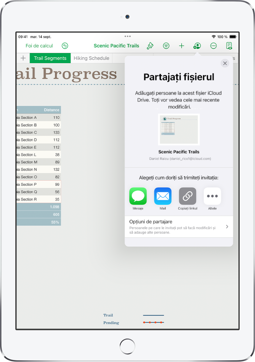 Ecranul de adăugare a persoanelor afișând o imagine a foii de calcul de partajat. Dedesubt se află butoane pentru metodele de trimitere a invitației, inclusiv Mail, Copiați linkul și Altele. În partea de jos se află butonul Opțiuni de partajare.
