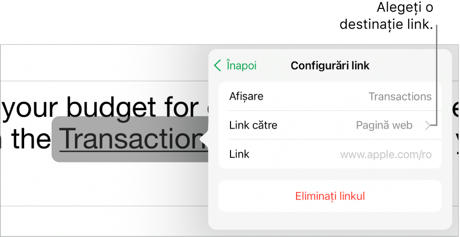 Comenzile din Configurări link cu câmpuri pentru Afișare, Link către (este selectată opțiunea Pagină web) și Link. În partea de jos se află butonul Eliminați linkul.