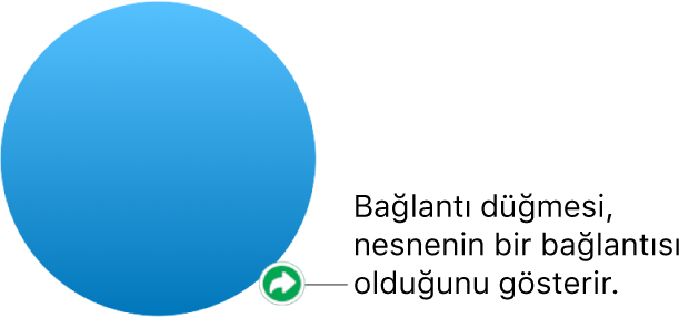 Şekildeki bağlantı düğmesi.