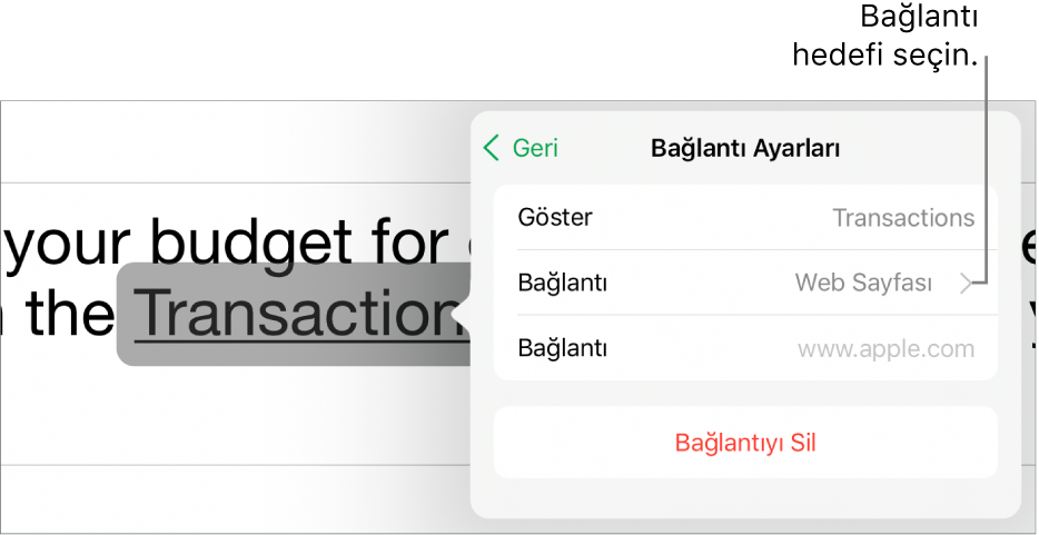 Göster, Bağlantı (Web Sayfası seçilidir) ve Bağlantı alanları ile Bağlantı Ayarları denetimleri. Bağlantıyı Kaldır düğmesi en alttadır.