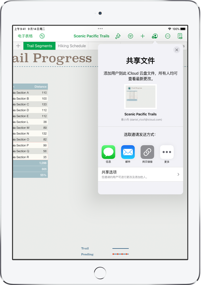 “添加用户”屏幕，显示要共享电子表格的图像。其下方是邀请发送方式的按钮，包括“邮件”和“拷贝链接”等。底部是“共享选项”按钮。