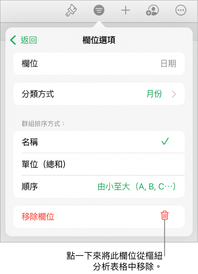 「欄位選項」選單，其顯示群組和排序資料的控制項目，以及移除欄位的選項。
