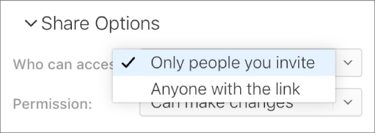 공유 옵션의 '접근할 수 있는 사용자' 팝업 메뉴