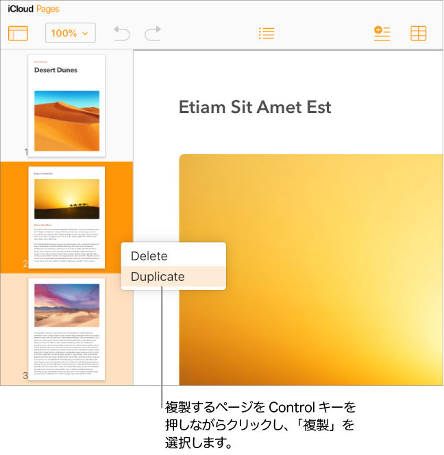 左サイドバーのページのサムネイル。選択したページは濃いオレンジ色で強調表示され、同じセクションに属するもう1つのページは薄いオレンジ色で強調表示されています。