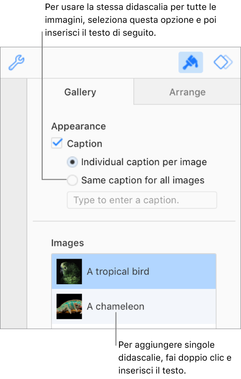 Con i controlli accanto alla parte superiore, puoi scegliere di inserire didascalie uniche per ogni immagine oppure usare la stessa didascalia per tutte le immagini. Di seguito sono mostrate le miniature di ogni immagine, con le didascalie a destra.
