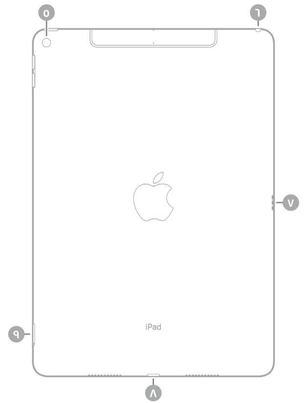 عرض للجزء الخلفي من الـ iPad مع وسائل شرح من أعلى اليسار في اتجاه عقارب الساعة: الكاميرا الخلفية ومقبس سماعة الرأس وSmart Connector وموصل Lightning وحامل SIM (‏Wi-Fi + Cellular).