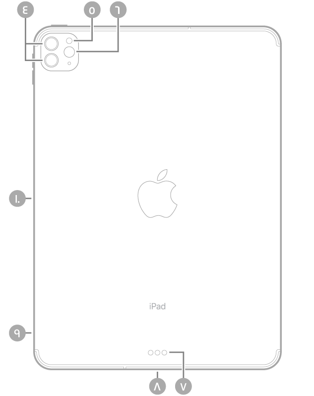 عرض للجزء الخلفي من الـ iPad Pro مع وسائل شرح من أعلى اليسار في اتجاه عقارب الساعة: الكاميرات الخلفية والفلاش و Smart Connector وموصل USB-C وحامل SIM (في طرز Wi-Fi + Cellular) والموصل المغناطيسي لـ Apple Pencil.