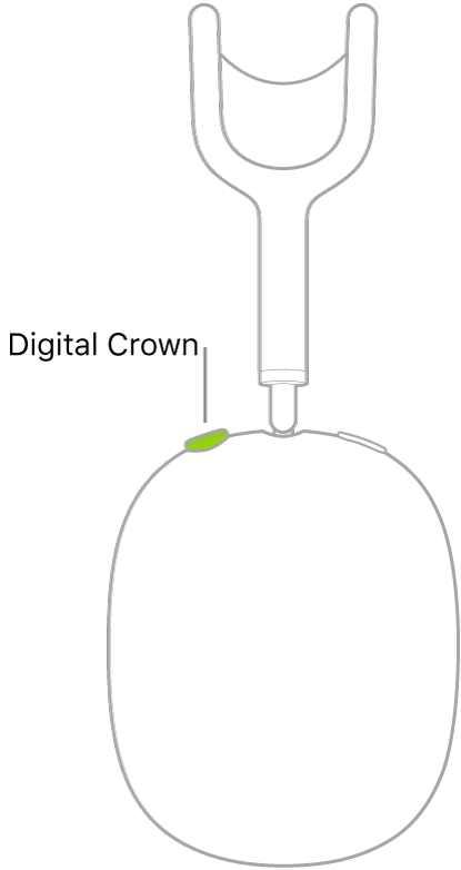 رسم توضيحي يبين موقع Digital Crown على سماعة الرأس اليمنى للـ AirPods Max.