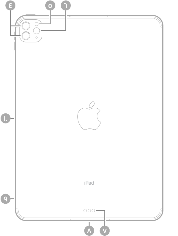 عرض للجزء الخلفي من iPad Pro مع وسائل شرح من أعلى اليسار في اتجاه عقارب الساعة: الكاميرات الخلفية والفلاش و Smart Connector و Thunderbolt / USB 4 وحامل SIM (في طرز Wi-Fi + Cellular) والموصل المغناطيسي لـ Apple Pencil.