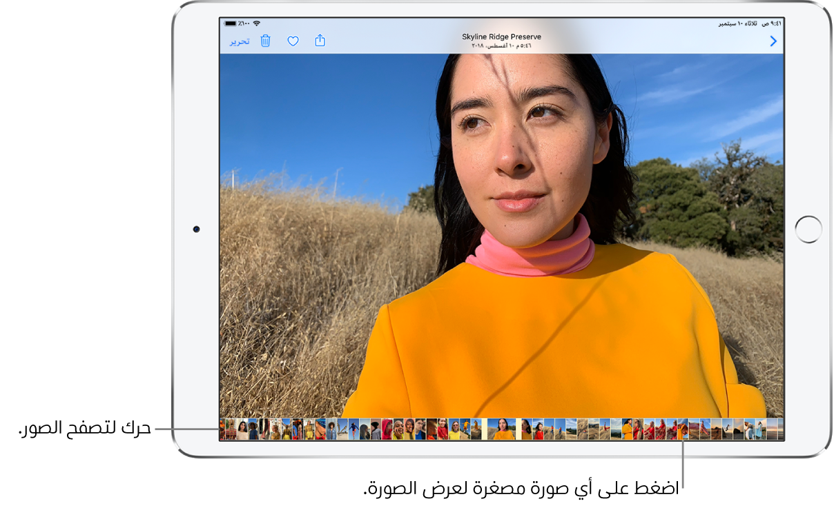 صورة ملء الشاشة مع صور مصغرة لصور أخرى من المكتبة على امتداد الجزء السفلي من الشاشة. في أعلى اليمين يظهر الزر رجوع، الذي يعيدك إلى التصفح. على امتداد الجزء العلوي الأيسر تظهر أزرار مشاركة وإعجاب وحذف وتحرير.