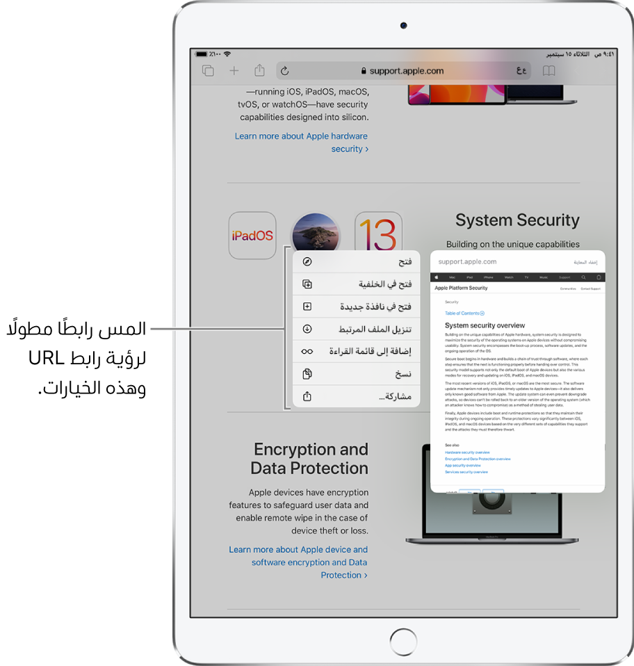 تراكب يعرض عنوان الوجهة وقائمة بالإجراءات المحتملة: فتح، أو فتح في علامة تبويب جديدة، أو فتح في Split View، أو إضافة إلى قائمة القراءة، أو نسخ، أو مشاركة.