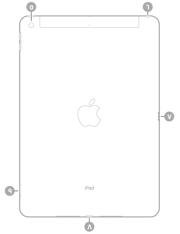 عرض للجزء الخلفي من الـ iPad مع وسائل شرح من أعلى اليسار في اتجاه عقارب الساعة: الكاميرا الخلفية ومقبس سماعة الرأس وSmart Connector وموصل Lightning وحامل SIM (‏Wi-Fi + Cellular).