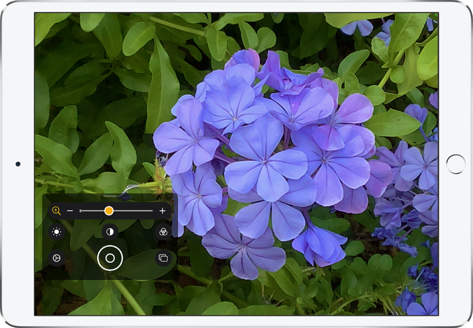 Obrazovka aplikace Lupa se zvětšeným detailem květiny