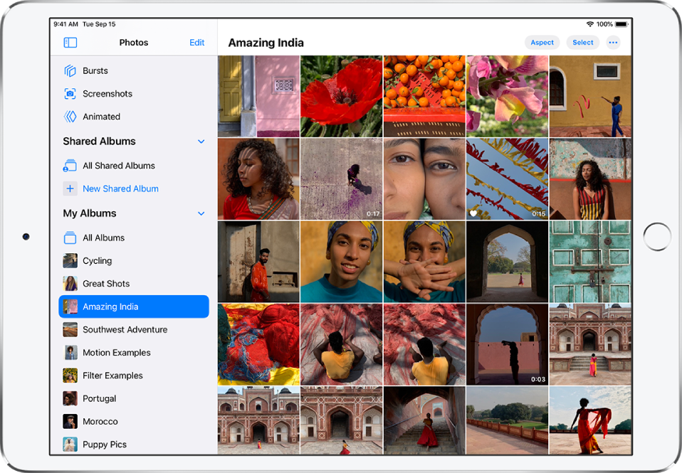 Organize Photos In Albums On Ipad Apple Support