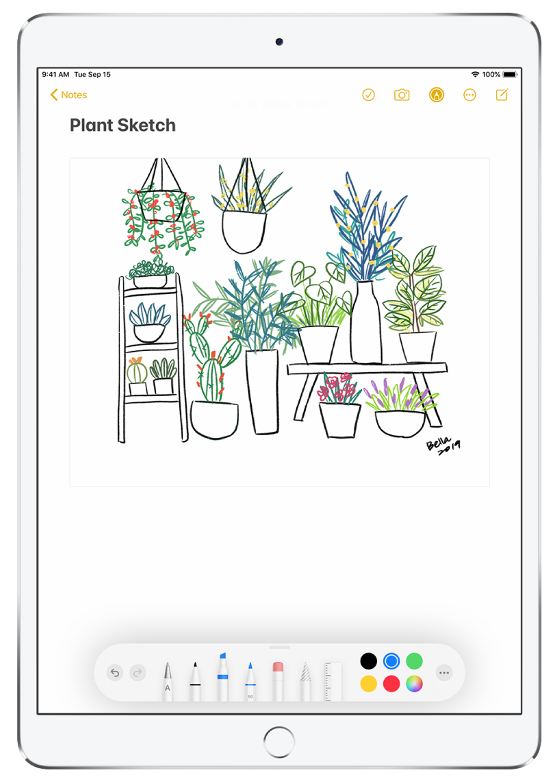 Use Apple Pencil With Notes Apple Support