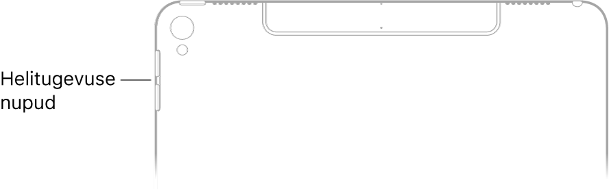 iPadi tagumise külje ülaosa koos väljaviiguga helitugevuse nuppudele.