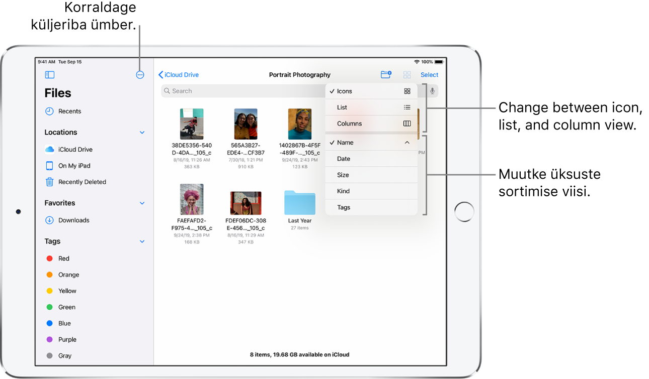 iCloud Drive'i asukoht nuppudega küljeriba ümberkorraldamiseks, sortimiseks atribuutide Name, Date, Size ja Tags järgi ning loendi- ja ikoonivaate vahel lülitumiseks.