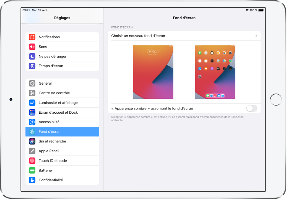 Changer De Fond D Ecran Sur L Ipad Assistance Apple