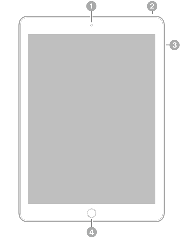 Az iPad Pro elölnézete, amelyen a feliratok a készülék tetejének közepén lévő elülső kamerára, a jobb felső részen lévő felső gombra, a jobb oldalon lévő hangerőgombokra és a készülék aljának közepén lévő Főgombra/Touch ID-ra mutatnak.