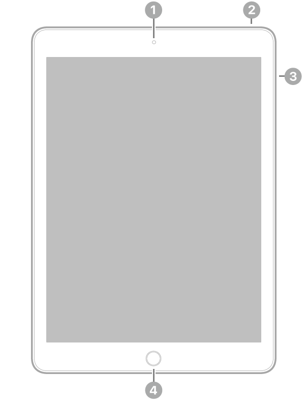 Az iPad elölnézete, amelyen a feliratok a készülék tetejének közepén lévő elülső kamerára, a jobb felső részen lévő felső gombra, a jobb oldalon lévő hangerőgombokra és a készülék aljának közepén lévő Főgombra/Touch ID-ra mutatnak.