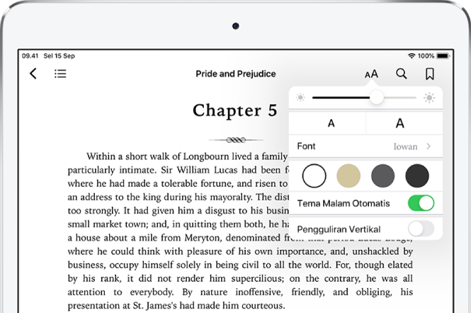 Menu tampilan di buku dipilih yang menampilkan kontrol untuk, dari atas ke bawah, kecerahan, ukuran font, gaya font, warna halaman, tema malam otomatis, dan tampilan gulir.