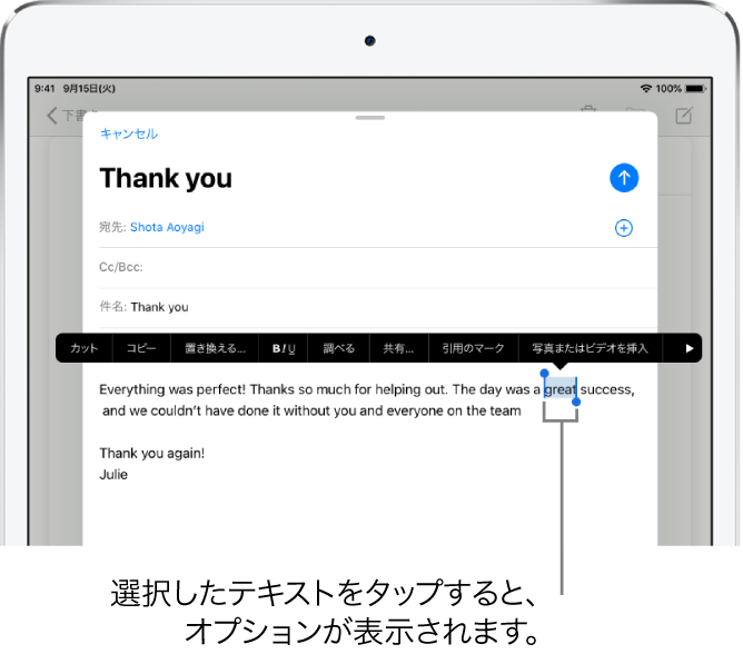 メールメッセージの例。テキストの一部が選択されています。選択部分の上には、「カット」、「コピー」、「ペースト」、「置き換える」の各ボタンが表示されています。選択されたテキストが強調表示され、両端にはハンドルが付いています。