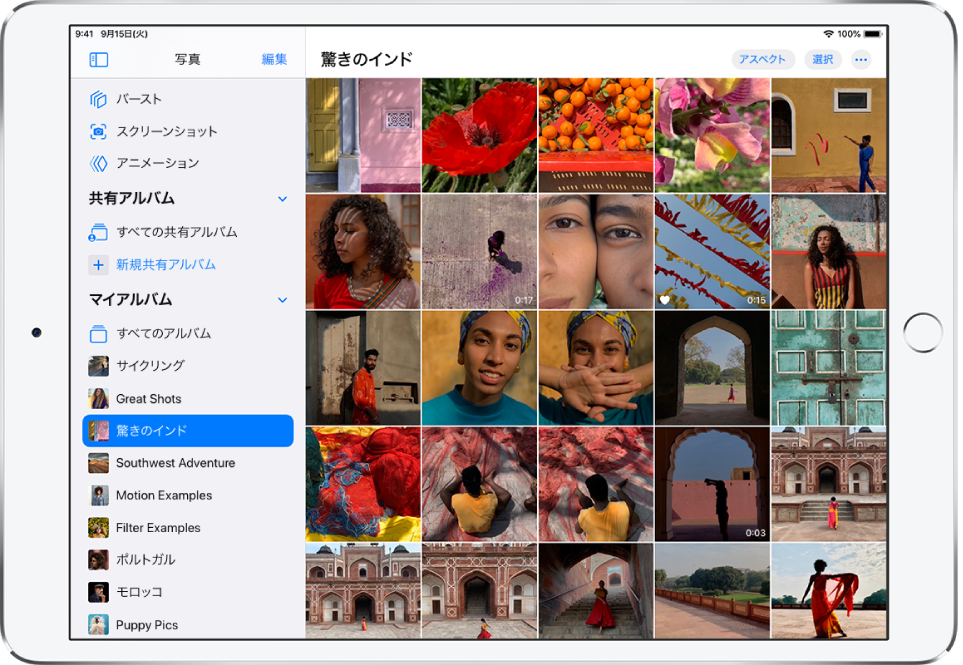 Ipadのアルバムで写真を整理する Apple サポート