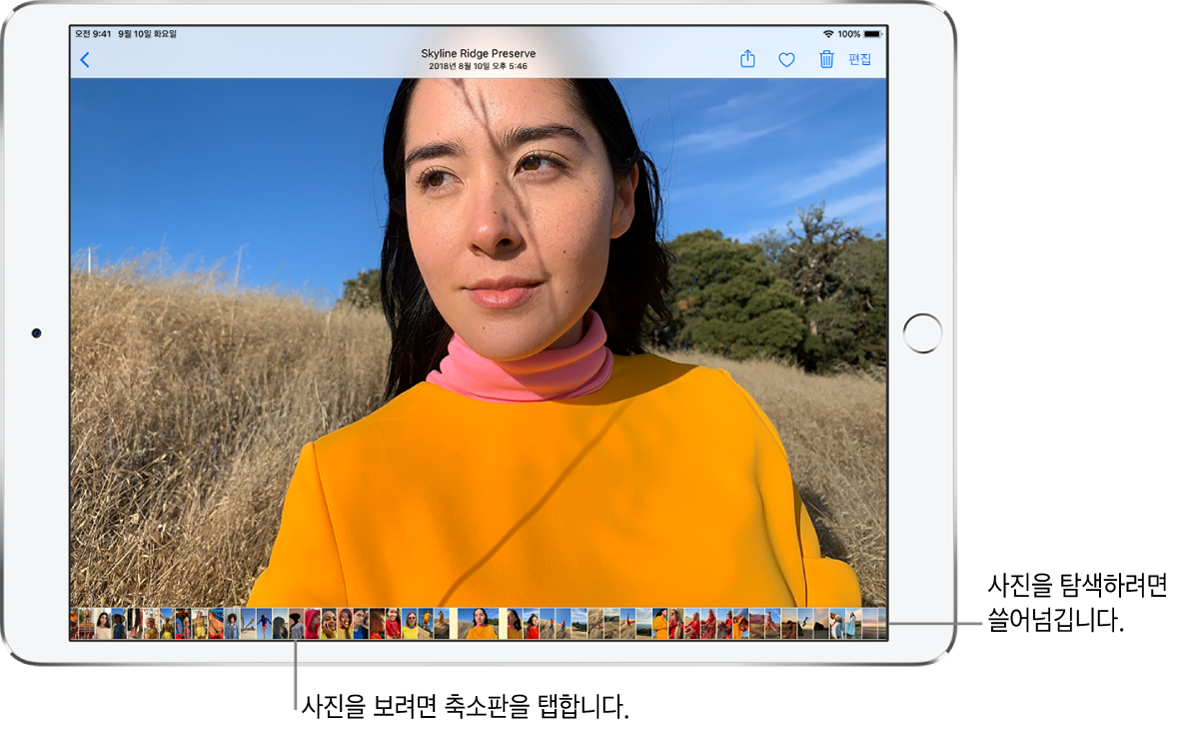 화면 하단에 나열된, 보관함에 있는 다른 사진의 축소판과 함께 표시된 전체 화면 사진. 왼쪽 상단에는 사진을 탐색하러 돌아갈 수 있는 뒤로 버튼이 있음. 오른쪽 상단에 차례로 공유, 좋아요, 삭제, 편집 버튼이 있음.