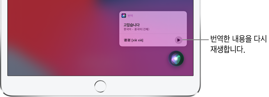 Siri가 영어 문장 “thank you”의 중국어 번역을 표시함. 번역의 오른쪽에 있는 버튼을 탭하면 번역이 음성으로 다시 재생됨.