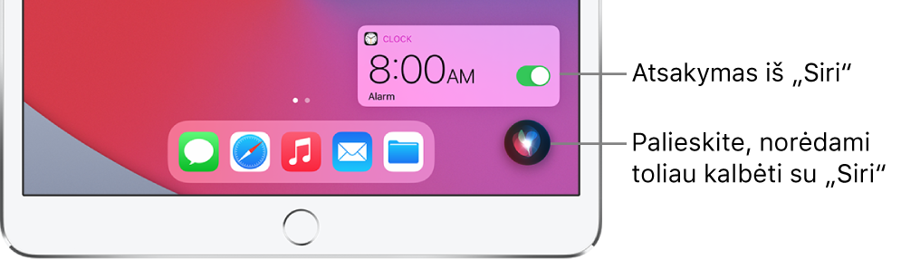 „Siri“ pradžios ekrane. Programos „Clock“ pranešimas rodo, kad žadintuvas nustatytas skambėti 8:00 val. Mygtukas ekrano dešinėje naudojamas pokalbiui su „Siri“ tęsti.