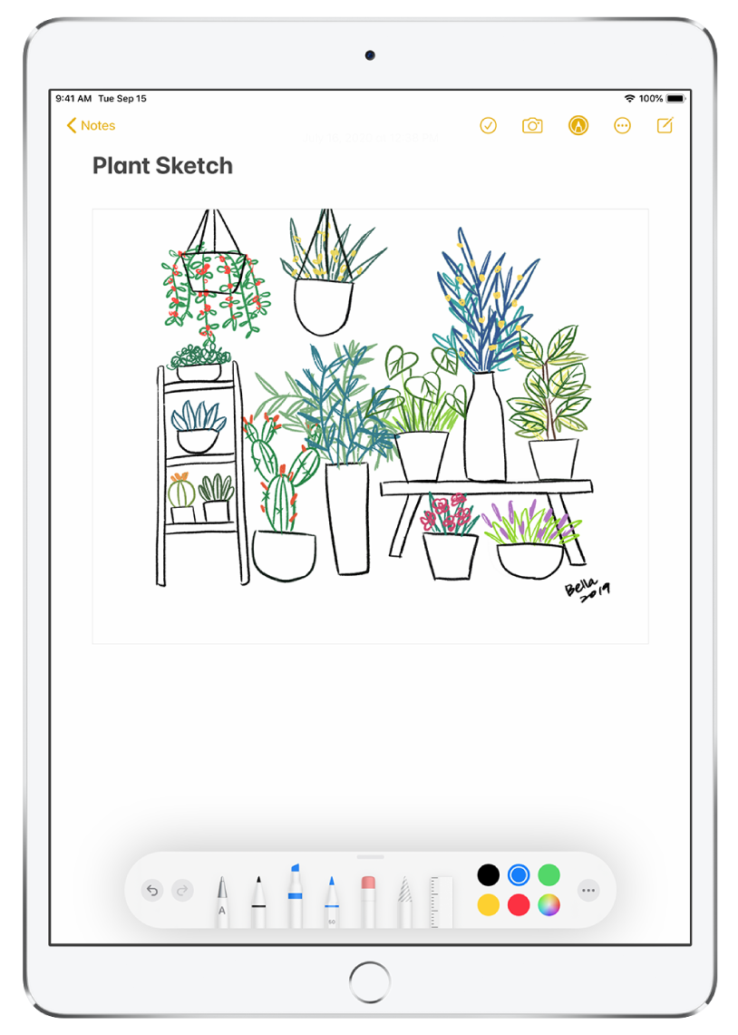 Augalų piešinys programos „Notes“ pastaboje. Ekrano apačioje yra įrankių juosta „Markup“ su rašymo įrankiais ir pasirinkta norima spalva.