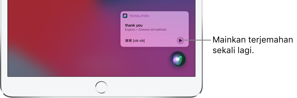 Siri memaparkan terjemahan frasa Inggeris “thank you” ke pada Mandarin. Butang di bahagian kanan terjemahan memainkan semula audio terjemahan.