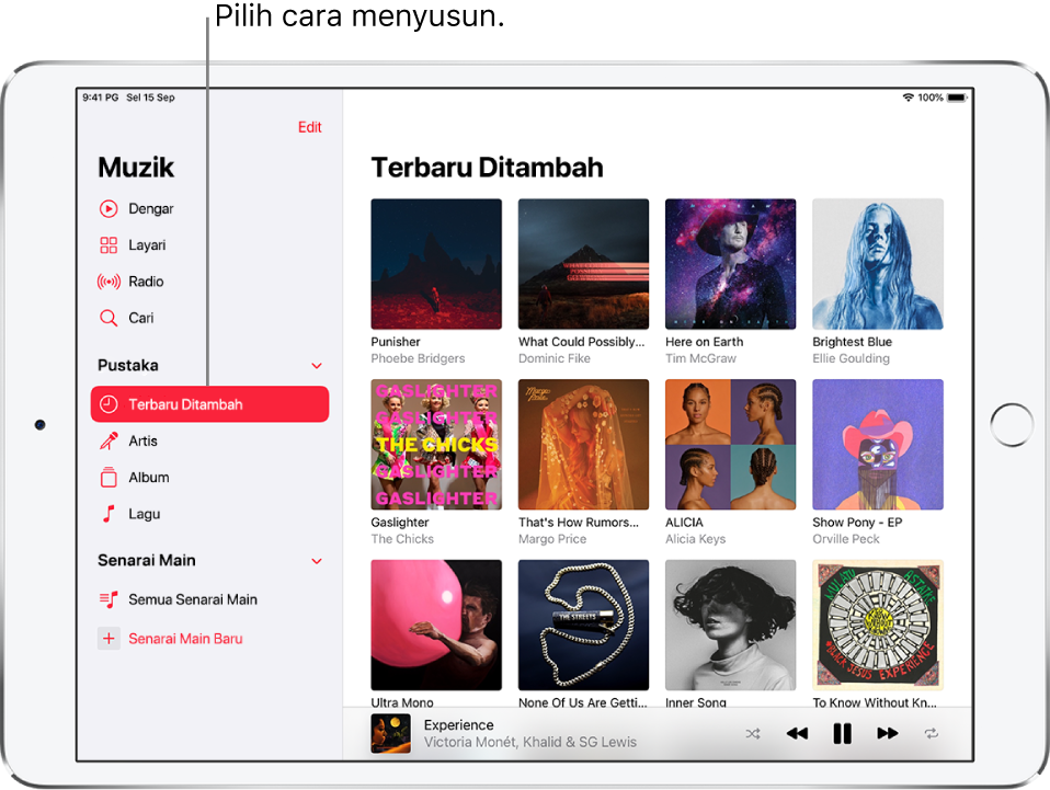 Skrin Pustaka menunjukkan bar sisi di bahagian kiri dengan perkataan Terbaru Ditambah diserlahkan. Album terbaru ditambah muncul di sebelah kanan. Pemain berada di bahagian bawah kanan.